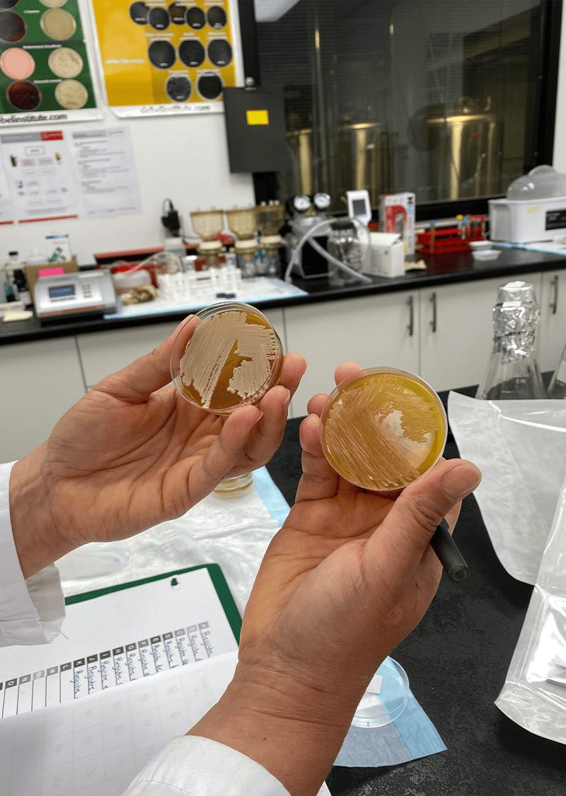 Une demi-journée au laboratoire de La Souche